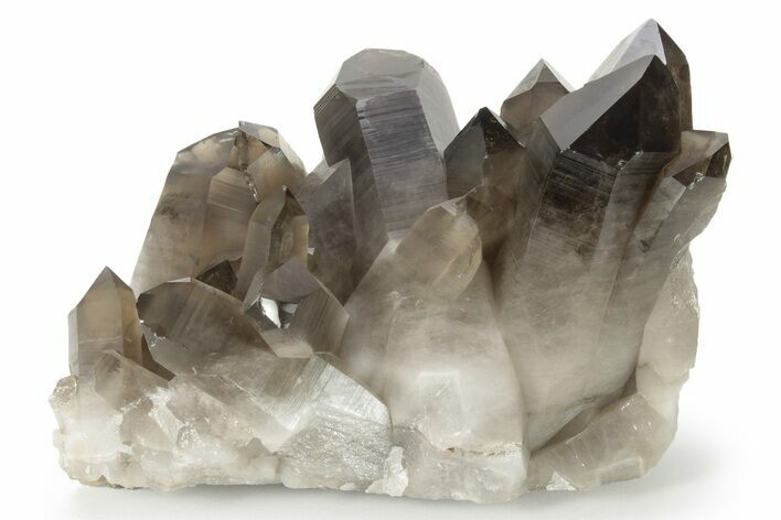 Wide, Free-Standing Smoky Quartz Cluster - Brazil #229511